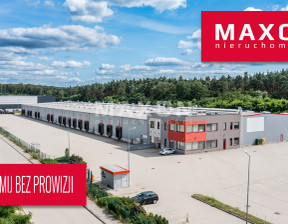 Magazyn do wynajęcia, Słubice ul. Logistyczna, 12000 m²