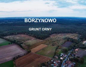 Działka na sprzedaż, Borzynowo, 160200 m²