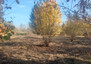 Morizon WP ogłoszenia | Działka na sprzedaż, Koczargi Stare, 1000 m² | 8376