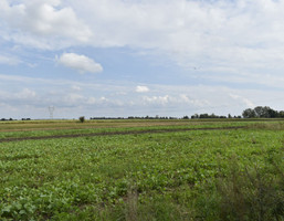 Morizon WP ogłoszenia | Działka na sprzedaż, Błonie Cegłowa, 50000 m² | 3492