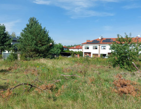 Działka na sprzedaż, Izabelin-Dziekanówek, 13900 m²