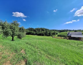 Działka na sprzedaż, Królówka, 3500 m²