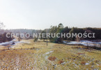 Morizon WP ogłoszenia | Działka na sprzedaż, Przykop, 10300 m² | 1612