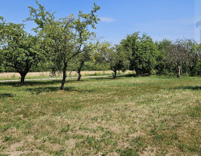 Działka na sprzedaż, Ojrzanów Zbiorowa, 1000 m²