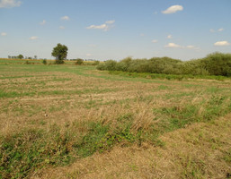 Morizon WP ogłoszenia | Działka na sprzedaż, Świerczyny, 15778 m² | 9716