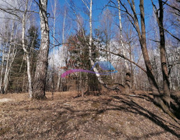 Morizon WP ogłoszenia | Działka na sprzedaż, Żółwin, 4939 m² | 0969