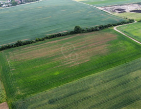 Działka na sprzedaż, Sędzice, 26950 m²