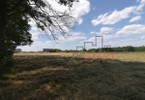 Morizon WP ogłoszenia | Działka na sprzedaż, Jaktorów, 3500 m² | 6905