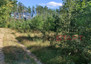 Morizon WP ogłoszenia | Działka na sprzedaż, Marków-Świnice, 14100 m² | 6000