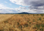 Morizon WP ogłoszenia | Działka na sprzedaż, Michałowice, 77000 m² | 4700