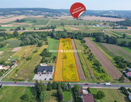 Morizon WP ogłoszenia | Działka na sprzedaż, Nawojowa Góra Krakowska, 13045 m² | 3221