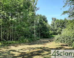 Morizon WP ogłoszenia | Działka na sprzedaż, Kady, 1535 m² | 2422