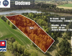 Działka na sprzedaż, Głodowo, 25300 m²