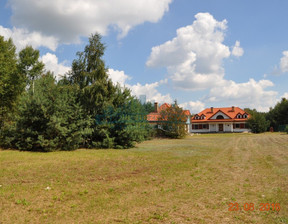 Dom do wynajęcia, Budziszyn, 375 m²