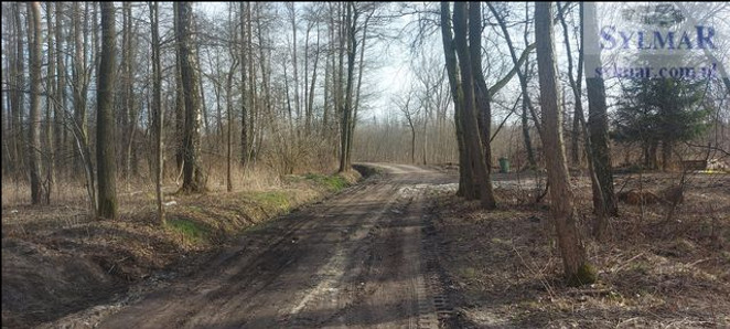 Morizon WP ogłoszenia | Działka na sprzedaż, Krzaki Czaplinkowskie, 1100 m² | 1901