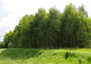 Morizon WP ogłoszenia | Działka na sprzedaż, Łapino Kartuskie, 27788 m² | 1522