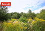 Morizon WP ogłoszenia | Działka na sprzedaż, Warzenko Leszczynowa, 971 m² | 9475