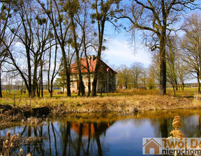 Biuro na sprzedaż, Drołtowice Parkowa, 441 m²