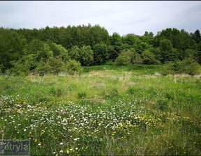 Działka na sprzedaż, Baranówka, 6000 m²