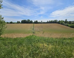 Działka na sprzedaż, Michałowice, 9500 m²