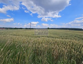 Działka na sprzedaż, Michałowice, 10040 m²