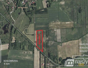 Działka na sprzedaż, Stramnica, 3002 m²