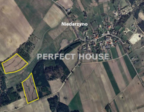 Działka na sprzedaż, Niedarzyno, 58517 m²