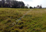 Morizon WP ogłoszenia | Działka na sprzedaż, Gągolina, 4500 m² | 4493