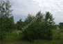 Morizon WP ogłoszenia | Działka na sprzedaż, Waliska, 1016 m² | 6278