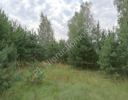 Morizon WP ogłoszenia | Działka na sprzedaż, Kałuszyn, 8500 m² | 7778