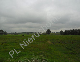 Morizon WP ogłoszenia | Działka na sprzedaż, Mała Wieś, 13600 m² | 8316