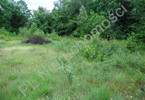 Morizon WP ogłoszenia | Działka na sprzedaż, Siennica, 11400 m² | 4020