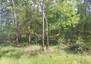 Morizon WP ogłoszenia | Działka na sprzedaż, Strugi Krzywickie, 9500 m² | 4405