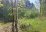 Morizon WP ogłoszenia | Działka na sprzedaż, Strugi Krzywickie, 9500 m² | 4405