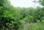 Morizon WP ogłoszenia | Działka na sprzedaż, Kamionka, 15100 m² | 5041