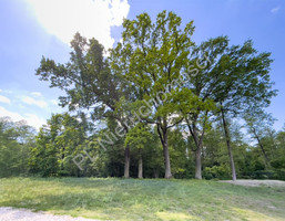 Morizon WP ogłoszenia | Działka na sprzedaż, Adamowizna, 1500 m² | 3900