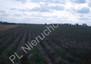 Morizon WP ogłoszenia | Działka na sprzedaż, Chlebnia, 95000 m² | 3841