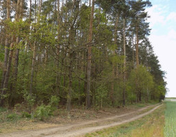 Morizon WP ogłoszenia | Działka na sprzedaż, Rokietnica, 44017 m² | 2869