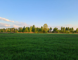 Morizon WP ogłoszenia | Działka na sprzedaż, Orzeszyn, 14565 m² | 6940