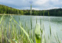 Morizon WP ogłoszenia | Działka na sprzedaż, Rakownia Dolna, 16093 m² | 2784