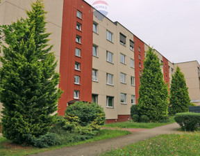 Mieszkanie do wynajęcia, Katowice Brynów, 80 m²