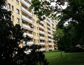 Mieszkanie do wynajęcia, Poznań Jeżyce, 38 m²