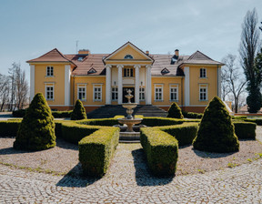 Dom na sprzedaż, Chwaliszewo, 520 m²