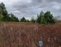 Morizon WP ogłoszenia | Działka na sprzedaż, Skierdy Sowia, 34000 m² | 9425