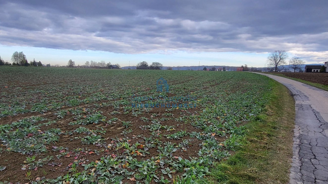 Morizon WP ogłoszenia | Działka na sprzedaż, Dębowiec Majowa, 10679 m² | 7875