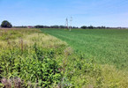 Morizon WP ogłoszenia | Działka na sprzedaż, Iwiny, 10000 m² | 9125