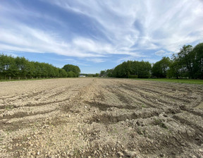 Działka na sprzedaż, Kiczyce, 1171 m²