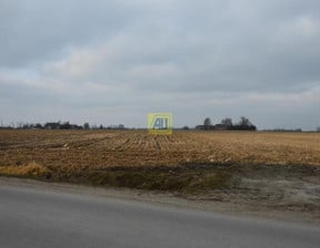 Działka na sprzedaż, Ryki, 83000 m²