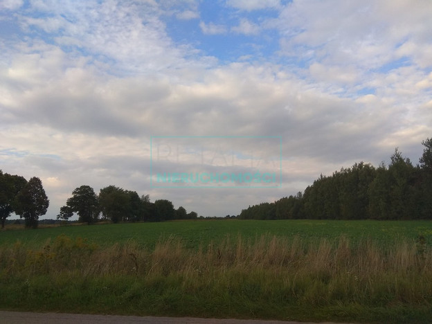Morizon WP ogłoszenia | Działka na sprzedaż, Zator, 3000 m² | 9680