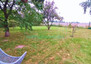 Morizon WP ogłoszenia | Dom na sprzedaż, Błonie, 280 m² | 1668